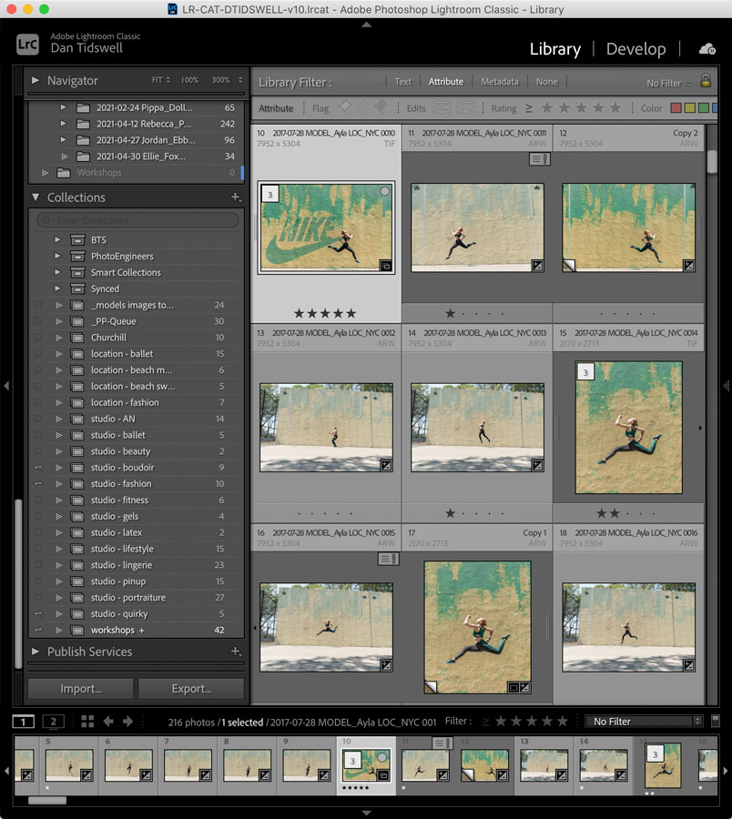 Lightroom for beginners